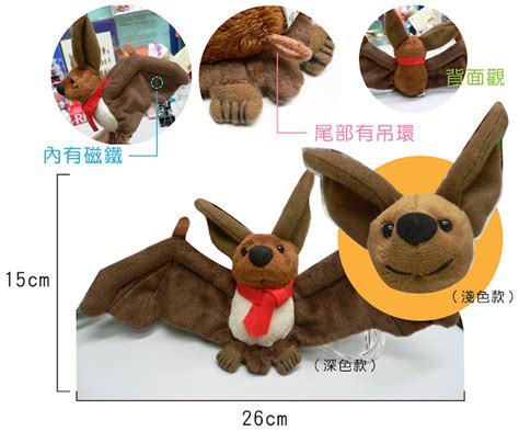 家裡 蝙蝠|蝙蝠資訊站 Bats information about Taiwan